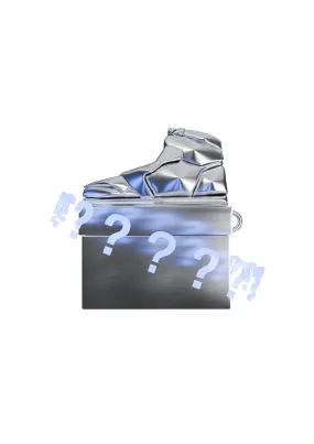 3D Sneaker AirPods Case Mystery Box