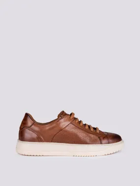 Sneaker in pelle marrone Atena